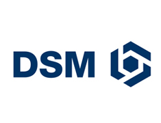 DSM